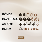 Ethiopia Yirgacheffe Öğütülmüş Kahve