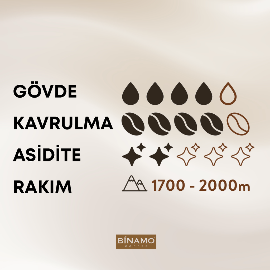 Ethiopia Espresso Çekirdek Kahve