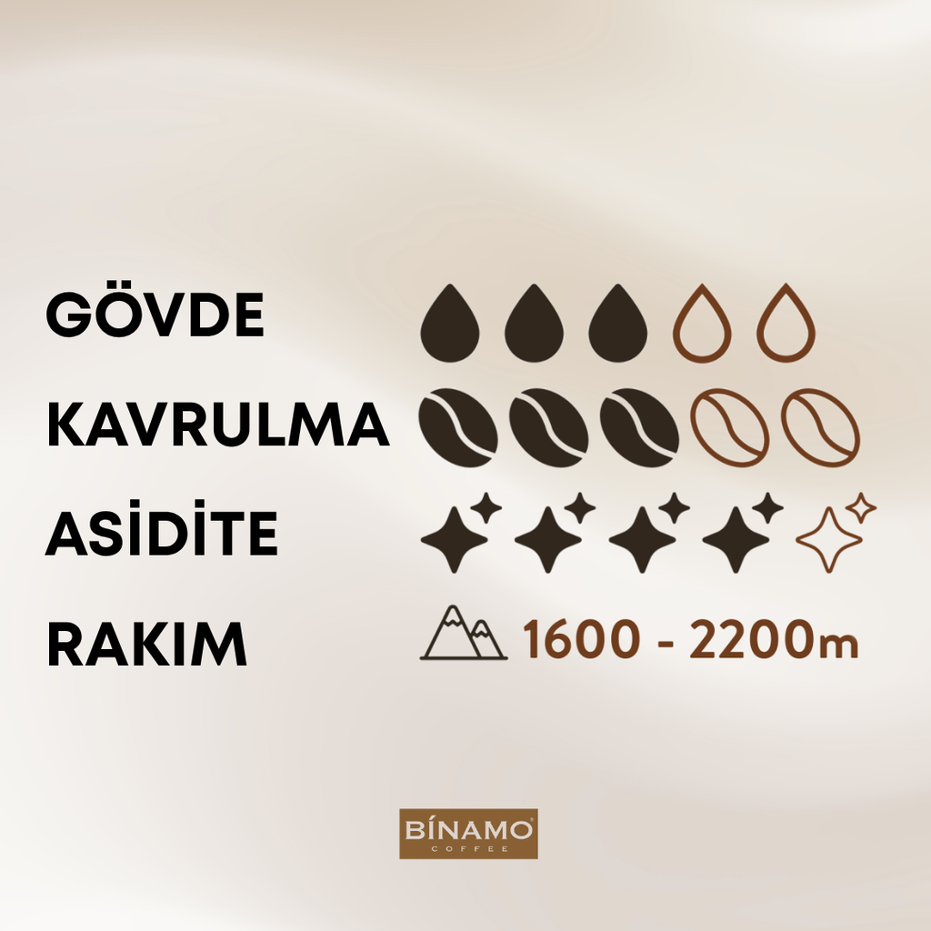Ethiopia Binamo Blend Çekirdek Kahve