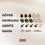 Ethiopia Binamo Blend Çekirdek Kahve